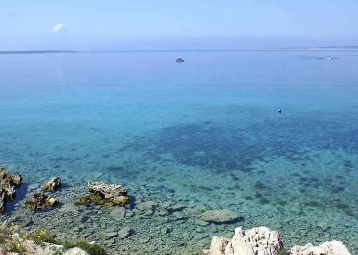 Mandre 3084b * Колан